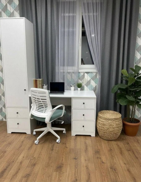 Пенал-2 коллекции Норд от Династия Kids